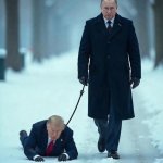 Trump on putins leash