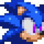 The Memehog’s head