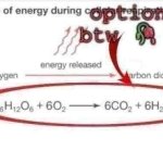 optional btw template