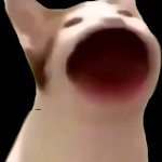 pop cat | WHEN YOU ARE HUNGRY | image tagged in pop cat | made w/ Imgflip meme maker