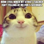 yippee | HOW I FEEL WHEN MY STRICT TEACHER ISN'T YELLING AT ME FOR 5 SECONDS. | image tagged in memes,smiling cat | made w/ Imgflip meme maker