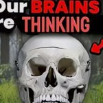 Our brains are thinking