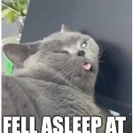 stupid looking cat | YOUR MOM; FELL ASLEEP AT 
WORK TODAY | image tagged in stupid looking cat | made w/ Imgflip meme maker