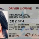 Driver's license