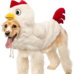 I see your blouend colors 1987