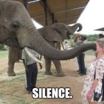 Elephant Silences You (Meme) | SILENCE. | image tagged in elephant sucking face | made w/ Imgflip meme maker