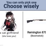 Choose wisely | Remington 870; (Boomstick) | image tagged in choose wisely | made w/ Imgflip meme maker