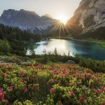 nature landscape meme