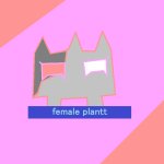 female plantt