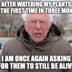 Bernie Sanders Once Again Asking | AFTER WATERING MY PLANTS FOR THE FIRST TIME IN THREE MONTHS; I AM ONCE AGAIN ASKING FOR THEM TO STILL BE ALIVE | image tagged in bernie sanders once again asking | made w/ Imgflip meme maker