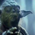 yoda confirmation bias GIF Template