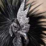Gothic chicken