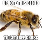 Bee | UPVOTE THIS BEE TO; TO GET FREE GRASS | image tagged in bee | made w/ Imgflip meme maker