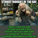 That's a lovely fragrance you're wearing | Ladies, I know you want to smell nice with a little perfume, but if you really want to arouse me, run through a cannabis field before we meet up! | image tagged in stoner thought,perfume,cannabis,skunk,smell | made w/ Imgflip meme maker