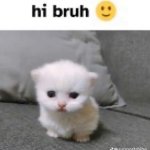 hi bruh