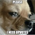 sad boi | PLEASE; I NEED UPVOTES | image tagged in sad boi | made w/ Imgflip meme maker