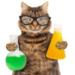 chemistry cat