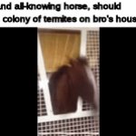 The  H O R S E  has spoken | "Oh, wise and all-knowing horse, should I unleash a colony of termites on bro's house?" | image tagged in gifs,horse of wisdom,bro | made w/ Imgflip video-to-gif maker