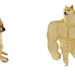 weak doge strong doge (flipped)