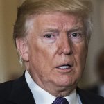 Donald J. Trump. Inmate # P01135809 template