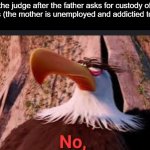 . | the judge after the father asks for custody of his kids (the mother is unemployed and addictied to meth) | image tagged in mighty eagle says no,meth | made w/ Imgflip meme maker