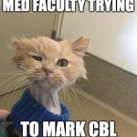 marking CBL | MED FACULTY TRYING; TO MARK CBL | image tagged in exhausted cat,case based learning,marking,medicine teaching,education,medical school | made w/ Imgflip meme maker