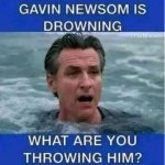 Gavin Newsom is drowning