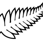 New Zealand National Football Team