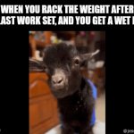 ... | WHEN YOU RACK THE WEIGHT AFTER THE LAST WORK SET, AND YOU GET A WET BURP | image tagged in gifs,goat,chewing,gym,weight,wet burp | made w/ Imgflip video-to-gif maker