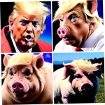 Trump piggy