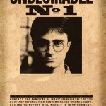 Harry Potter - Undesirable