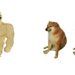 Buff doge and two cheems