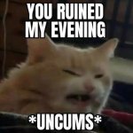 You ruined my evening