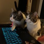 Two cars in front of computer