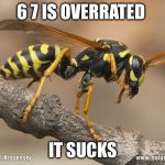 upvote if you agree lmao | 6 7 IS OVERRATED; IT SUCKS | image tagged in wasp | made w/ Imgflip meme maker