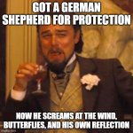 Why My German Shepherd Barks at Literally Everything | GOT A GERMAN SHEPHERD FOR PROTECTION; NOW HE SCREAMS AT THE WIND, BUTTERFLIES, AND HIS OWN REFLECTION | image tagged in memes,laughing leo | made w/ Imgflip meme maker