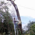 SAFETY FIRST ! template