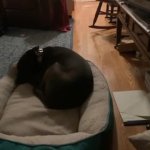 Finn Bender GIF Template