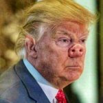 Trump Pig