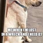 subnautica O2 | ME WHEN I'M LOST IN A WRECK AND I NEED O2 | image tagged in depressed dog | made w/ Imgflip meme maker