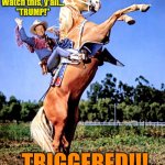Trump Triggered