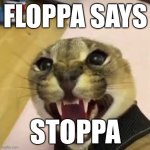 Every time I denied an immature thought, I would back up with this. | FLOPPA SAYS; STOPPA | image tagged in angry floppa | made w/ Imgflip meme maker