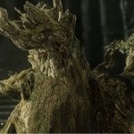 angry treebeard