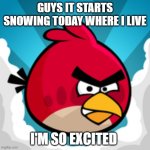YAY | GUYS IT STARTS SNOWING TODAY WHERE I LIVE; I'M SO EXCITED | image tagged in angy birbs,snow | made w/ Imgflip meme maker