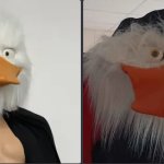 before_after_duck