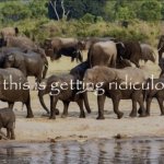 ok this is getting ridiculous meme