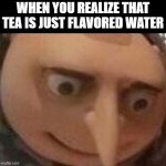 and that memes only get to the front page if the imgflip mods aprrove them | WHEN YOU REALIZE THAT TEA IS JUST FLAVORED WATER | image tagged in gru meme,funny memes,memes,gru's plan,tea,stop reading the tags | made w/ Imgflip meme maker