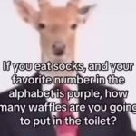 If you eat socks