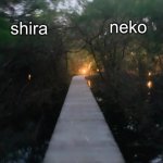 shira n neko shared temp meme