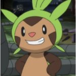 Awkward Chespin